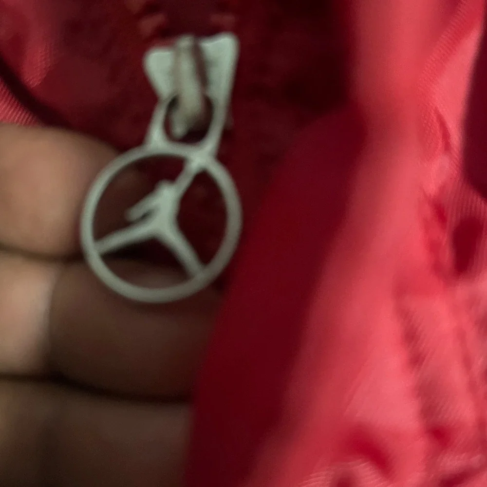 Jordan air hooded
